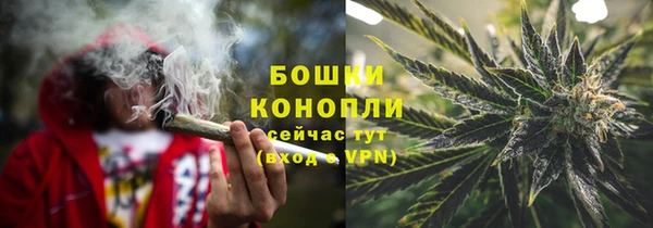 крисы Покачи