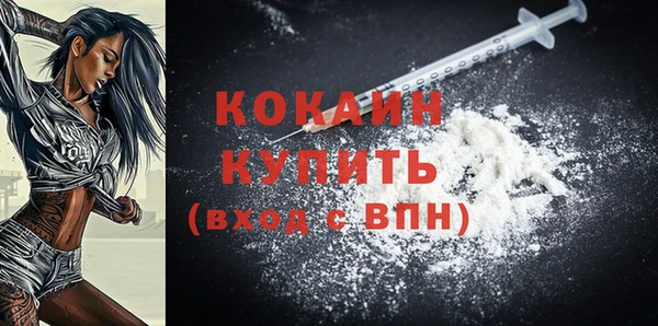 крисы Покачи