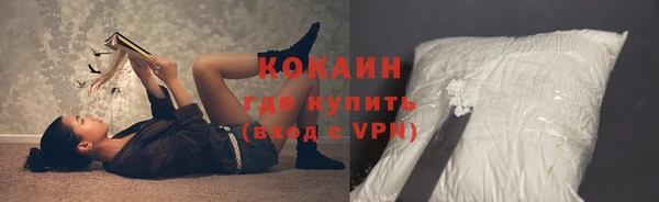 кокс Гатчина