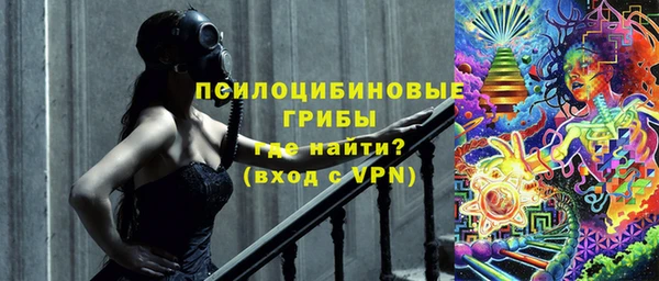 хмурый Пестово