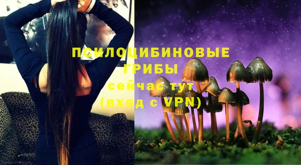 хмурый Пестово