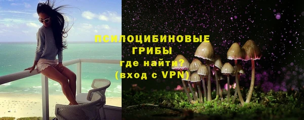 стаф Гвардейск