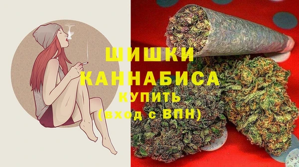 крисы Покачи