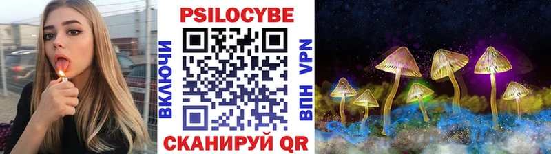 наркотики  Сатка  Псилоцибиновые грибы Psilocybine cubensis 