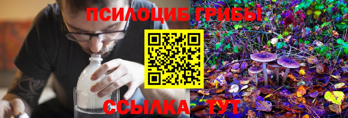 купить   Вход с VPN  Галлюциногенные грибы Psilocybe  Сатка  Галлюциногенные грибы прущие грибы 