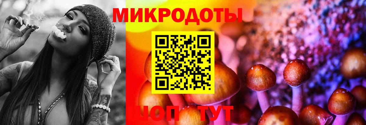 Галлюциногенные грибы Cubensis Сатка